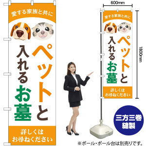 ybgƓ邨 LCXg ̂ڂ GNB-4604 i󒍐YiELZsj