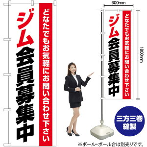 WW  ̂ڂ GNB-4695 i󒍐YiELZsj