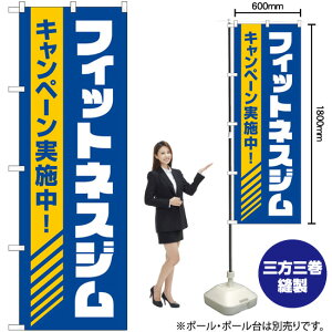 tBbglXWLy[{ ij ̂ڂ GNB-4713 i󒍐YiELZsj