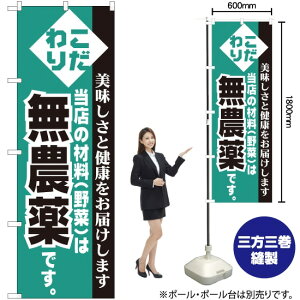 _ ̂ڂ H-208i󒍐YiELZsj