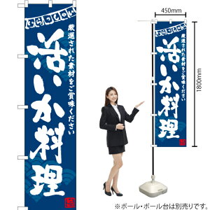 ij X}[ĝڂ HKS-145i󒍐YiELZsj