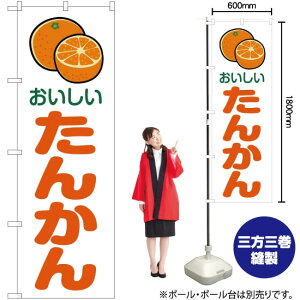  񂩂 ij ̂ڂ JA-219i󒍐YiELZsj