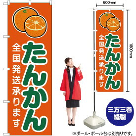 【3枚まで送料297円】たんかん 全国発送承ります （橙） のぼり JA-220（受注生産品・キャンセル不可）