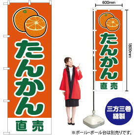 【3枚まで送料297円】たんかん 直売 （橙） のぼり JA-222（受注生産品・キャンセル不可）