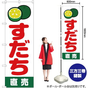   ij ̂ڂ JA-234i󒍐YiELZsj