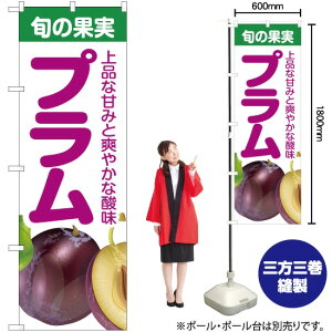 {̉ʎ v ̂ڂ JA-242i󒍐YiELZsj