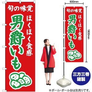 ققH j݂iԁj ̂ڂ JA-307i󒍐YiELZsj