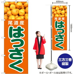 Y ͂ ̂ڂ JA-420i󒍐YiELZsj