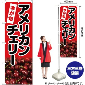 AJ`F[iԁj ̂ڂ JA-431i󒍐YiELZsj