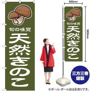 {̖o VR̂ i΁j ̂ڂ JA-52i󒍐YiELZsj