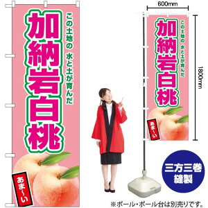 [┒isNj ̂ڂ JA-525i󒍐YiELZsj