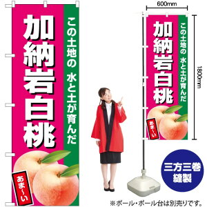 [┒iZsNj ̂ڂ JA-526i󒍐YiELZsj