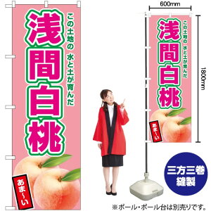 ԔisNj ̂ڂ JA-536i󒍐YiELZsj