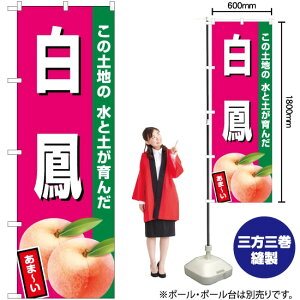 PiZsNj ̂ڂ JA-541i󒍐YiELZsj