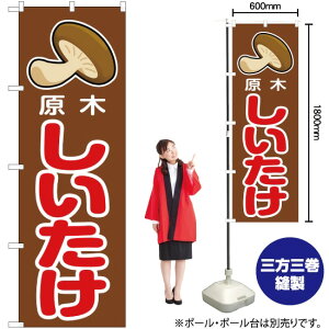 ؂ ̂ڂ JA-58i󒍐YiELZsj