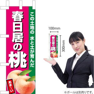 ~ĵڂ t̓iZsNj JA-604i󒍐YiELZsj