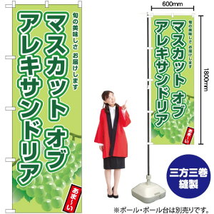 }XJbgIuALThA ̂ڂ JA-768i󒍐YiELZsj