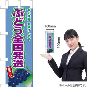 ~ĵڂ ԂǂSiԂǂj JA-804i󒍐YiELZsj