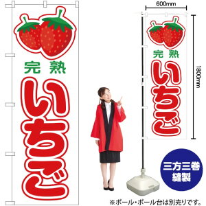 n  ij ̂ڂ JA-81i󒍐YiELZsj