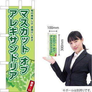 ~ĵڂ }XJbgIuALThA JA-881i󒍐YiELZsj