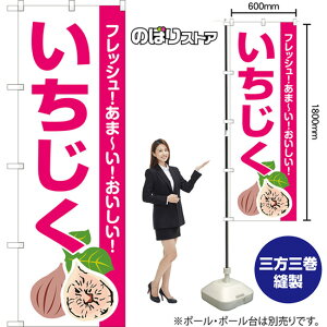 ij ̂ڂ JA-916i󒍐YiELZsj