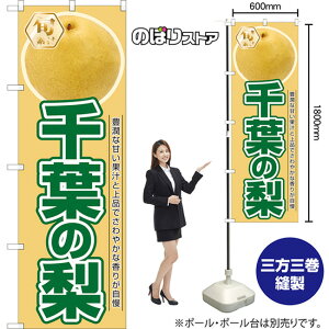 t̗ ̂ڂ JA-929i󒍐YiELZsj