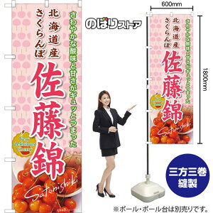 kCY  ̂ڂ JA-946i󒍐YiELZsj