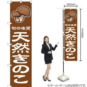 {̖o VR̂ ij X}[ĝڂ JAS-051i󒍐YiELZsj