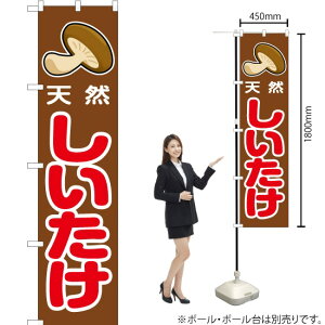 VR X}[ĝڂ JAS-057i󒍐YiELZsj