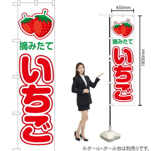 E݂  ij X}[ĝڂ JAS-078i󒍐YiELZsj