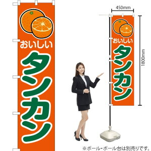  ^J ij X}[ĝڂ JAS-210i󒍐YiELZsj