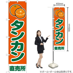 ^J  ij X}[ĝڂ JAS-216i󒍐YiELZsj