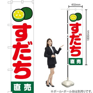   ij X}[ĝڂ JAS-234i󒍐YiELZsj