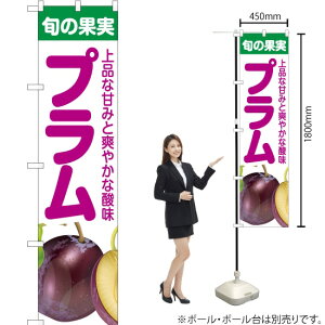 {̉ʎ v X}[ĝڂ JAS-242i󒍐YiELZsj