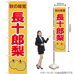 H̖o \Yij X}[ĝڂ JAS-274i󒍐YiELZsj