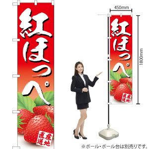 gق X}[ĝڂ JAS-386i󒍐YiELZsj