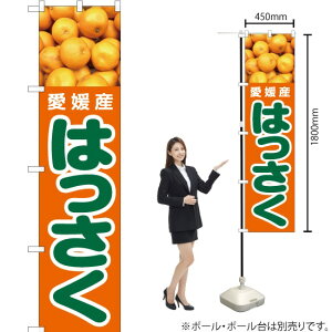 QY ͂ X}[ĝڂ JAS-418i󒍐YiELZsj