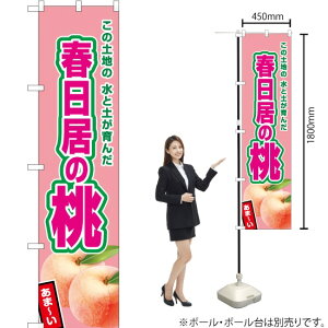 t̓isNj X}[ĝڂ JAS-489i󒍐YiELZsj