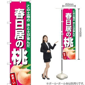 t̓iZsNj X}[ĝڂ JAS-490i󒍐YiELZsj