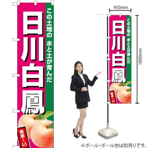 씒PiZsNj X}[ĝڂ JAS-524i󒍐YiELZsj