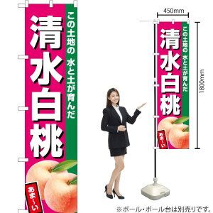 iZsNj X}[ĝڂ JAS-533i󒍐YiELZsj