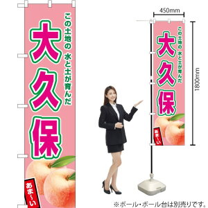 vہisNj X}[ĝڂ JAS-538i󒍐YiELZsj