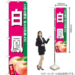 PiZsNj X}[ĝڂ JAS-541i󒍐YiELZsj