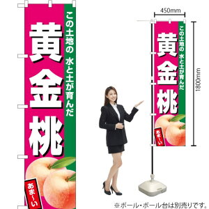 iZsNj X}[ĝڂ JAS-545i󒍐YiELZsj