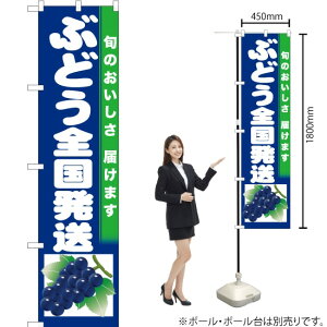 ԂǂSinj X}[ĝڂ JAS-755i󒍐YiELZsj