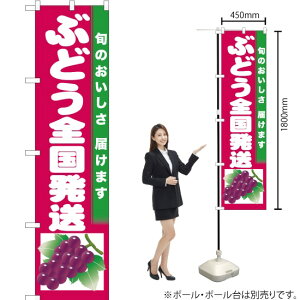 ԂǂSiԒnj X}[ĝڂ JAS-757i󒍐YiELZsj