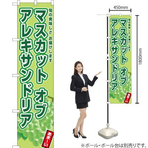 }XJbgIuALThA X}[ĝڂ JAS-768i󒍐YiELZsj