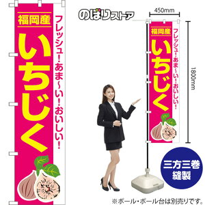 Y  X}[ĝڂ JAS-919i󒍐YiELZsj