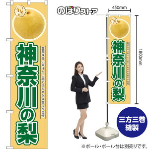 _ސ̗ X}[ĝڂ JAS-930i󒍐YiELZsj