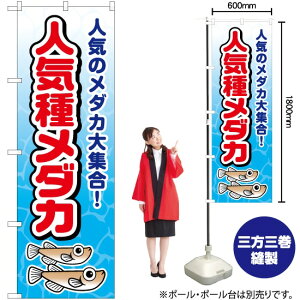 lC탁_J ̂ڂ JY-519i󒍐YiELZsj